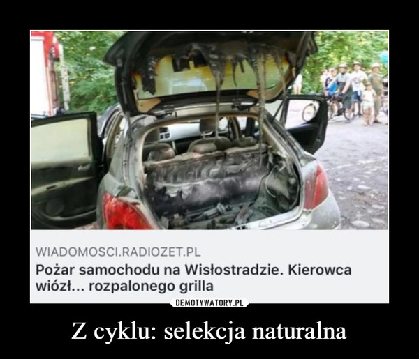 selekcja naturalna.jpg