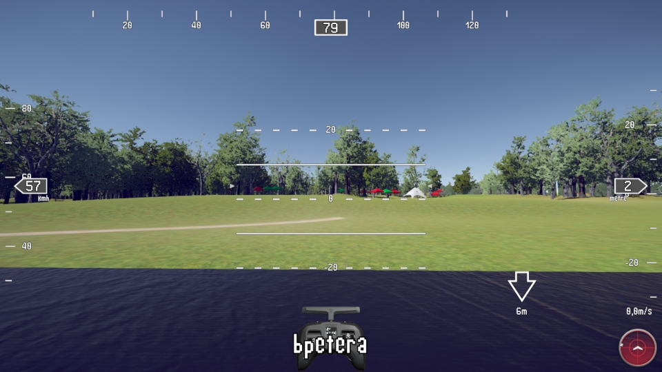 Wings Simulator (screenshot)